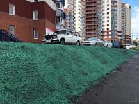 Озеленение в Красноярске